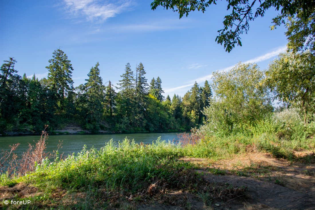 Trysting Tree Golf Club Corvallis Oregon ForeUP